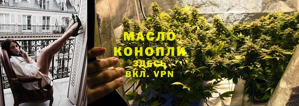 гидра Тайга