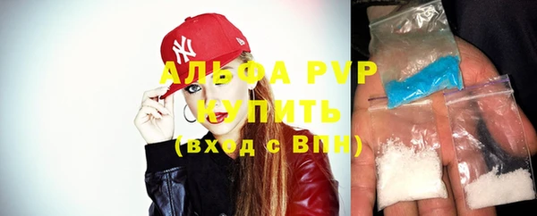 гидра Тайга