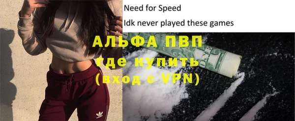 гидра Тайга