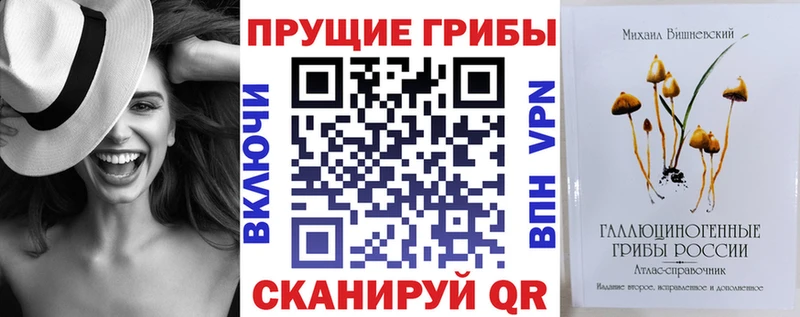 Купить  Лесной  Псилоцибиновые грибы Psilocybine cubensis 